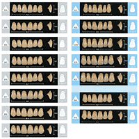 Denture Tooth Color Chart