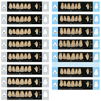 Denture Color Chart