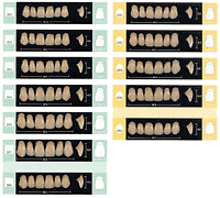 Shade Conversion Chart For Denture Teeth