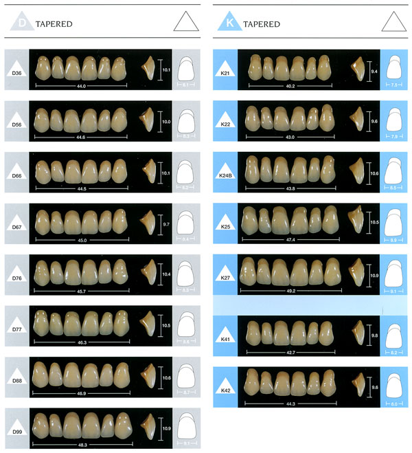 Tooth Mould Chart