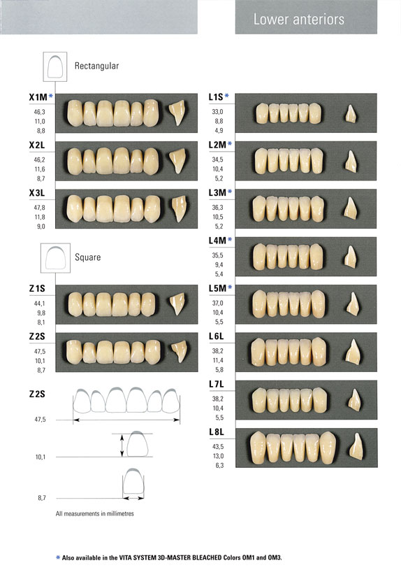 Vita Teeth Mould Chart
