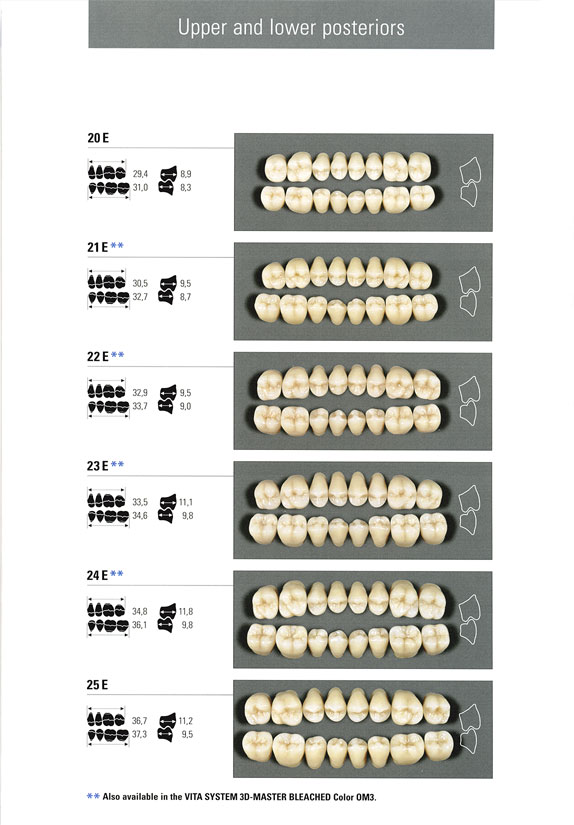 Vita Teeth Mould Chart