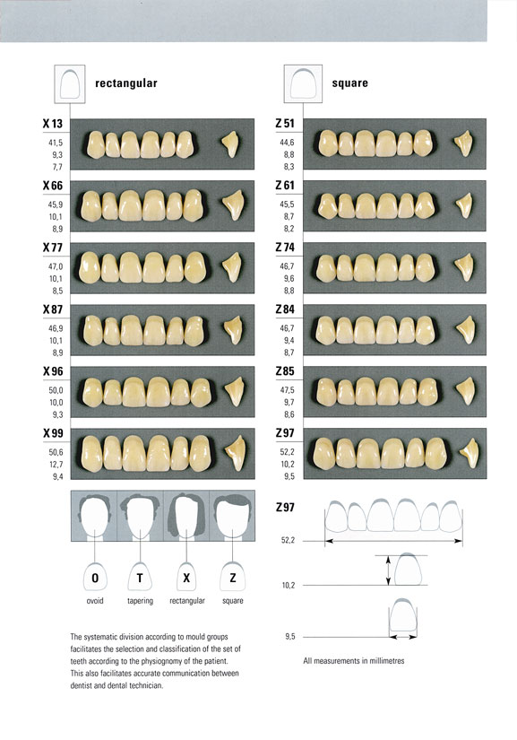 Vita Teeth Mould Chart