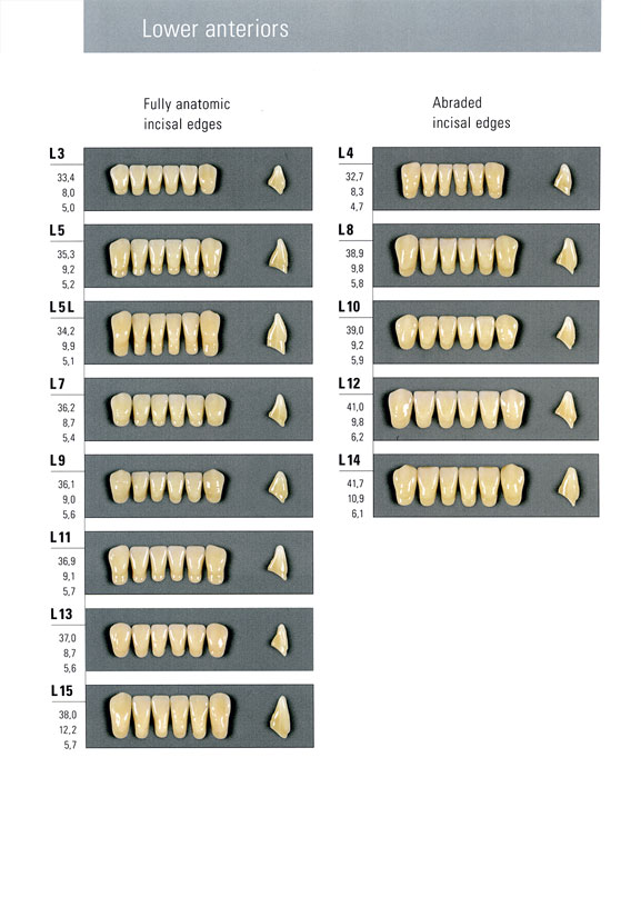 Vita Teeth Mould Chart